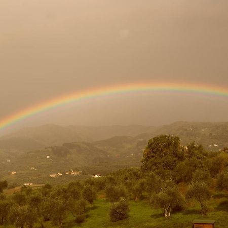 Casale Camaiore Βίλα Capannori Εξωτερικό φωτογραφία