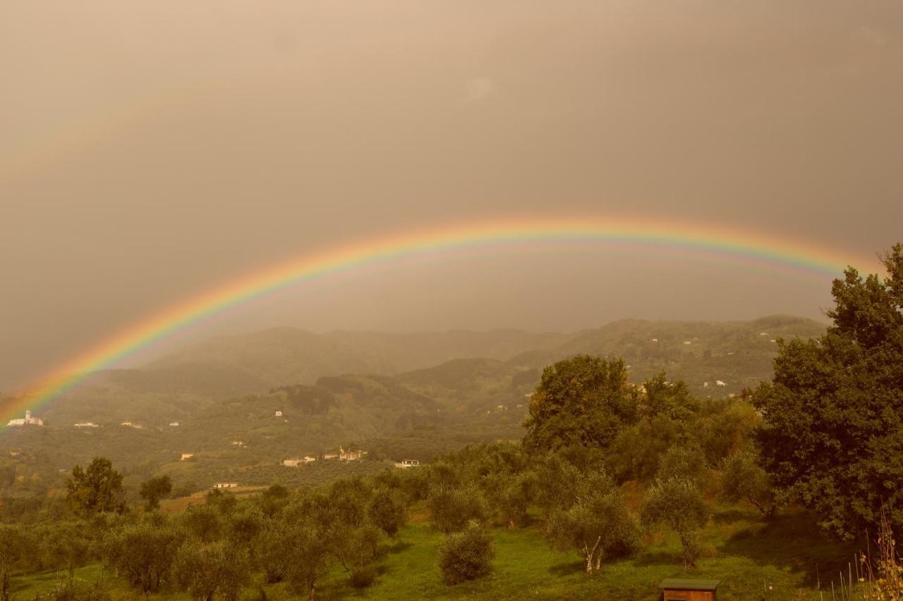 Casale Camaiore Βίλα Capannori Εξωτερικό φωτογραφία